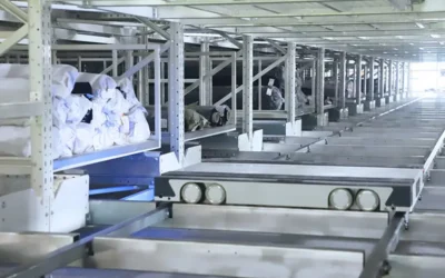  The Smart Evolution of Textile Warehousing: From “Stacking” to “Smart Storing and Picking”