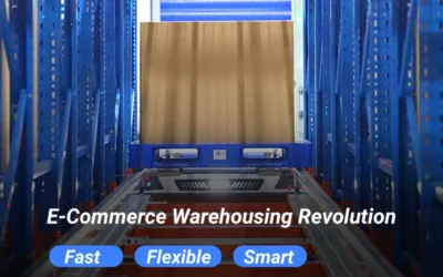 E-Commerce Warehousing Revolution — Fast, Flexible, and Smart