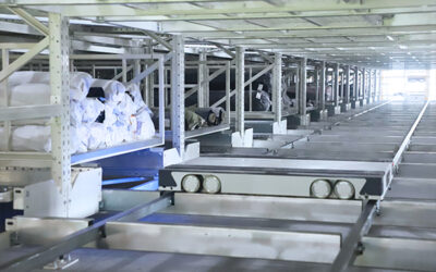 What Is the Warehouse Automation ROI Period in Practice?