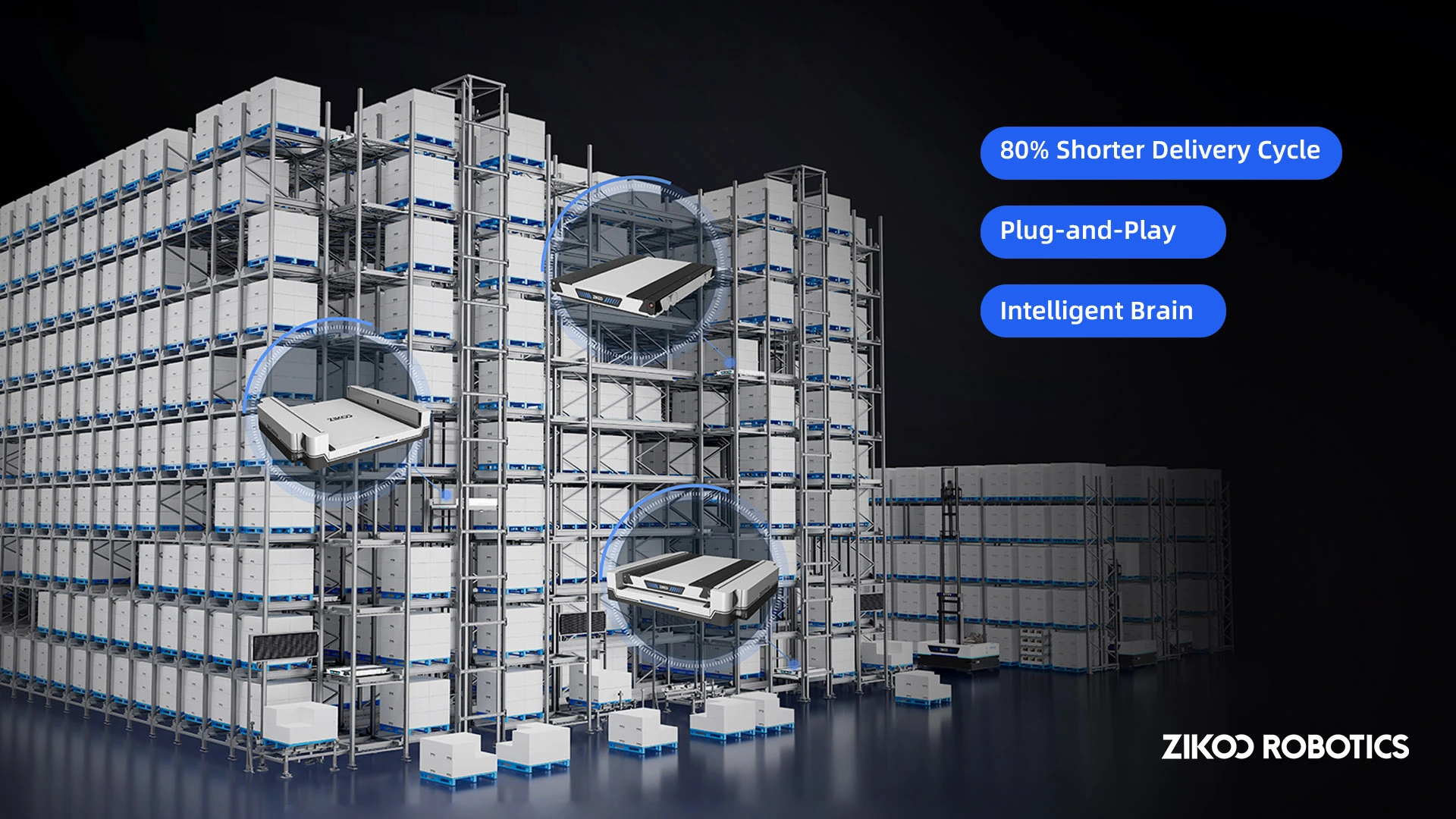 Intelligent Four-Way Shuttle Warehouse System